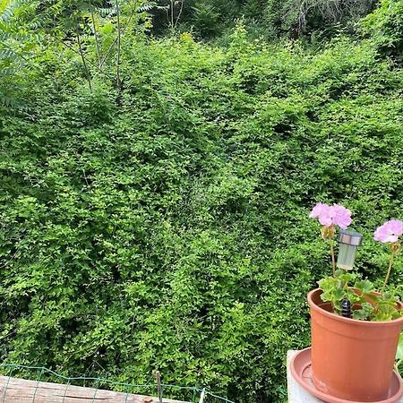 Villa Serenice - F2 Au Calme, Climatise, Wifi Et Parking Gratuit エクステリア 写真
