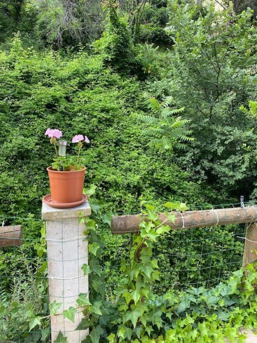 Villa Serenice - F2 Au Calme, Climatise, Wifi Et Parking Gratuit エクステリア 写真